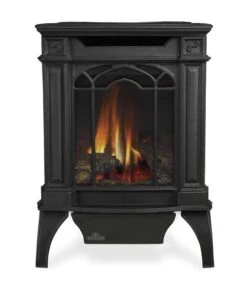 Napoleon GDS20E Arlington Electronic Ignition Direct Vent Cast Iron Stove