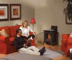 Napoleon GDS20E Arlington Electronic Ignition Direct Vent Cast Iron Stove 14 Napoleon GDS20E Arlington Electronic Ignition Direct Vent Cast Iron Stove -Lennox Fires Shop arlington ls 1