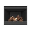 Napoleon B42TR Ascent Series Millivolt Ignition Direct Vent Gas Fireplace 2 Napoleon B42TR Ascent Series Millivolt Ignition Direct Vent Gas Fireplace -Lennox Fires Shop b42ntr