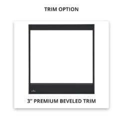 Napoleon B46NTR Ascent Series Millivolt Ignition Direct Vent Gas Fireplace -Lennox Fires Shop b46 safety barrier 12 19