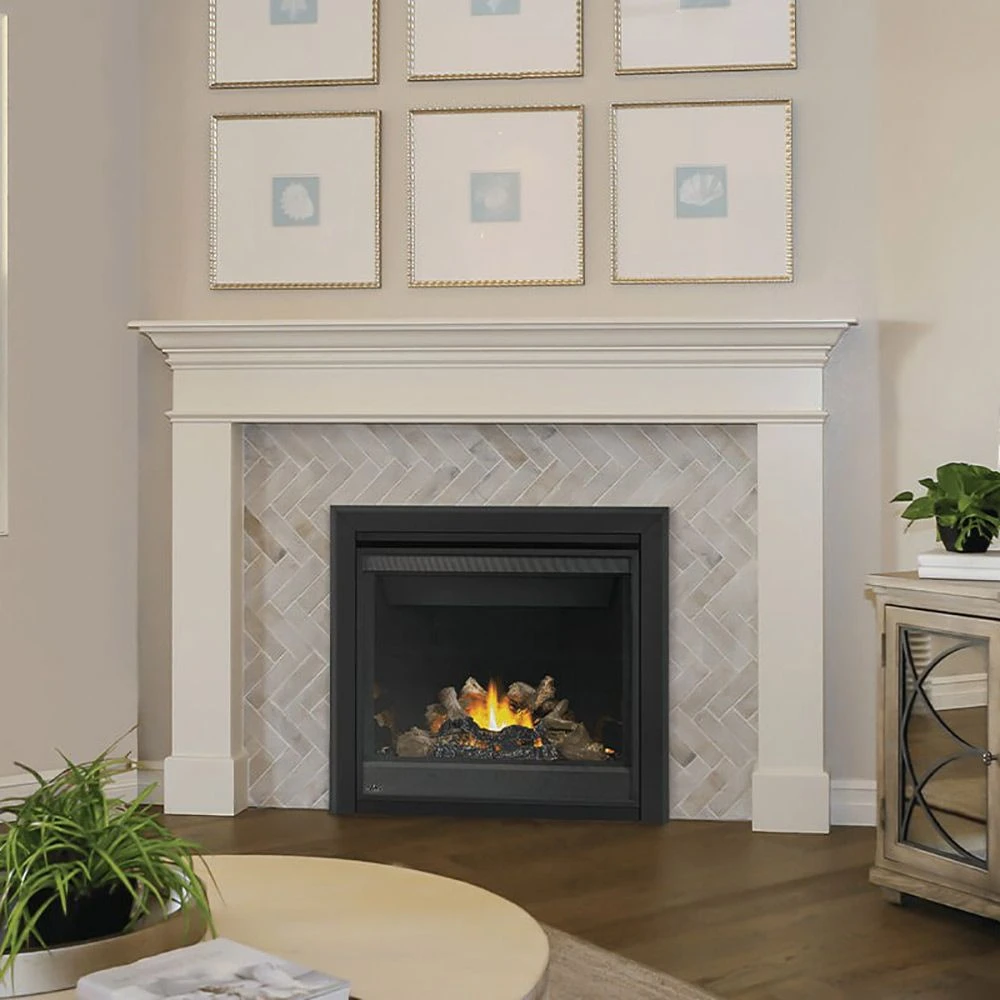 Napoleon BX42TRE Ascent X Series Electronic Ignition Direct Vent Gas Fireplace 4 Napoleon BX42TRE Ascent X Series Electronic Ignition Direct Vent Gas Fireplace - Image 2