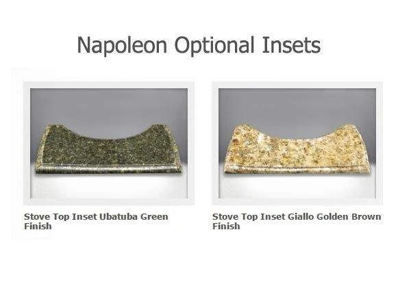 Napoleon Castlemore Direct Vent Cast Iron Gas Stove 6 Napoleon Castlemore Direct Vent Cast Iron Gas Stove - Image 5