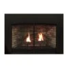 Empire White Mountain Hearth DVC28IN Innsbrook Clean-Face Direct Vent Gas Fireplace Insert, 28-Inches 1 Empire White Mountain Hearth DVC28IN Innsbrook Clean-Face Direct Vent Gas Fireplace Insert, 28-Inches -Lennox Fires Shop dv28in 1