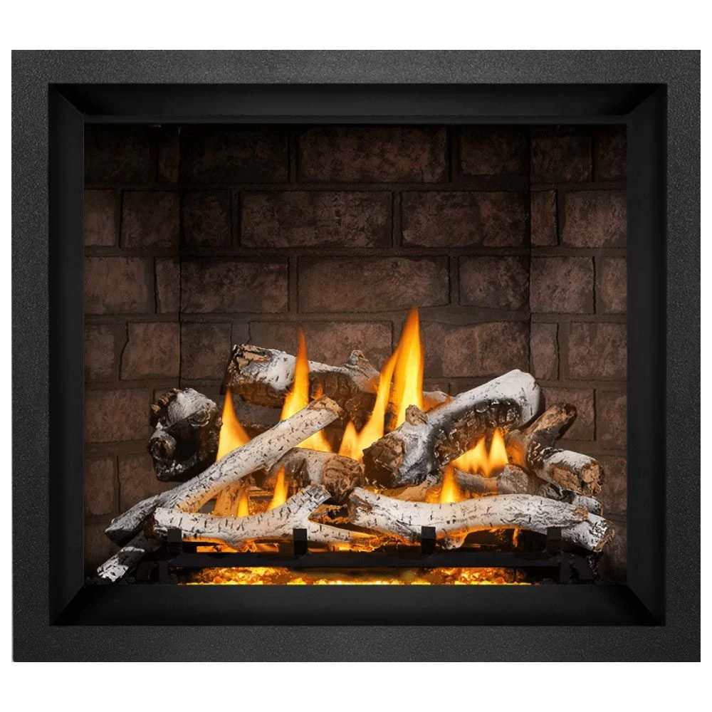 Napoleon EX42xTEL Elevation X Series Electronic Ignition 42-Inch Direct Vent Gas Fireplace 3 Napoleon EX42xTEL Elevation X Series Electronic Ignition 42-Inch Direct Vent Gas Fireplace