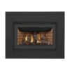 Napoleon GDIZC-NSB Inspiration ZC Series Millivolt Ignition Direct Vent Gas Fireplace Insert 1 Napoleon GDIZC-NSB Inspiration ZC Series Millivolt Ignition Direct Vent Gas Fireplace Insert -Lennox Fires Shop gdizc nsb szcsb gizt3k