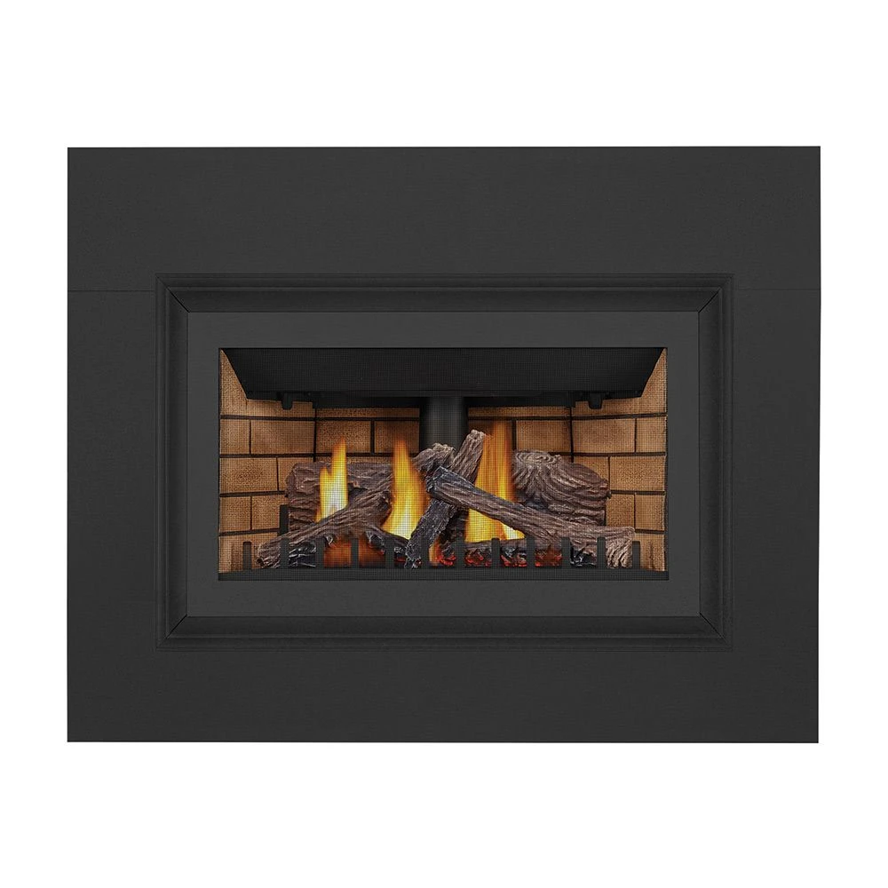 Napoleon GDIZC-NSB Inspiration ZC Series Millivolt Ignition Direct Vent Gas Fireplace Insert 3 Napoleon GDIZC-NSB Inspiration ZC Series Millivolt Ignition Direct Vent Gas Fireplace Insert