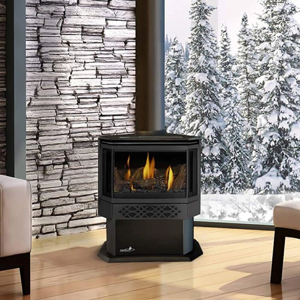 Napoleon GDS28-1NE Haliburton Electronic Ignition Direct Vent Gas Stove 4 Napoleon GDS28-1NE Haliburton Electronic Ignition Direct Vent Gas Stove - Image 2