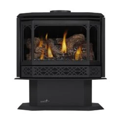 Napoleon GDS50-1NSB Havelock Millivolt Ignition Direct Vent Gas Stove