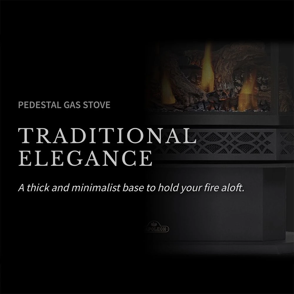 Napoleon GDS28-1NE Haliburton Electronic Ignition Direct Vent Gas Stove 6 Napoleon GDS28-1NE Haliburton Electronic Ignition Direct Vent Gas Stove - Image 4