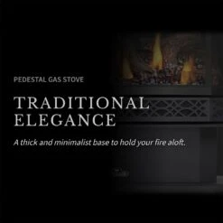Napoleon GDS50-1NSB Havelock Millivolt Ignition Direct Vent Gas Stove 12 Napoleon GDS50-1NSB Havelock Millivolt Ignition Direct Vent Gas Stove -Lennox Fires Shop gds50 1nsb ls b 01 22
