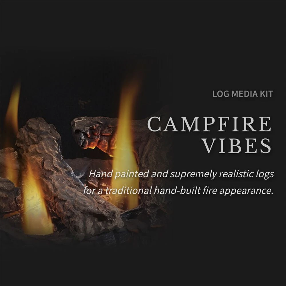 Napoleon GDS50-1NSB Havelock Millivolt Ignition Direct Vent Gas Stove 6 Napoleon GDS50-1NSB Havelock Millivolt Ignition Direct Vent Gas Stove - Image 4