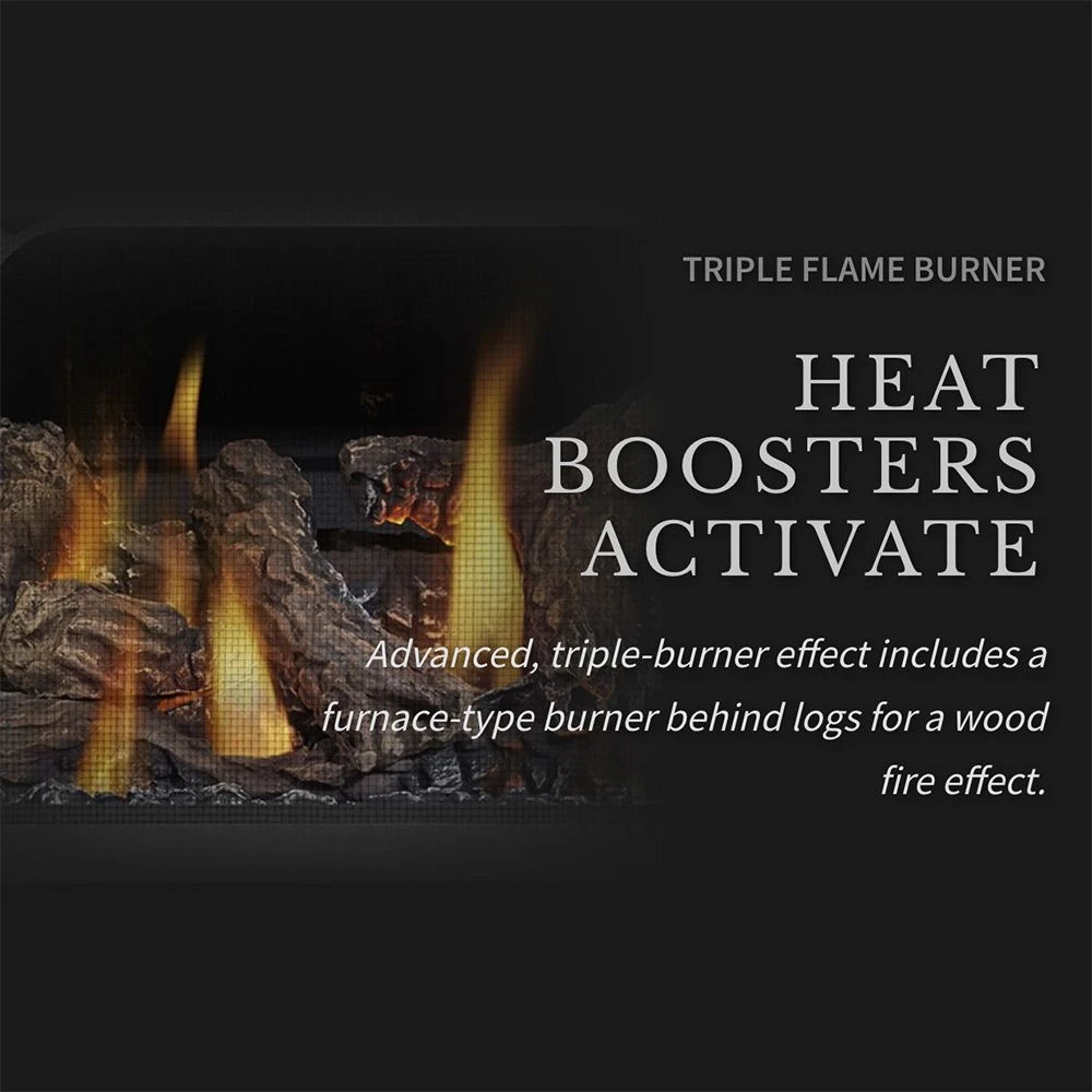 Napoleon GDS50-1NSB Havelock Millivolt Ignition Direct Vent Gas Stove 8 Napoleon GDS50-1NSB Havelock Millivolt Ignition Direct Vent Gas Stove - Image 6