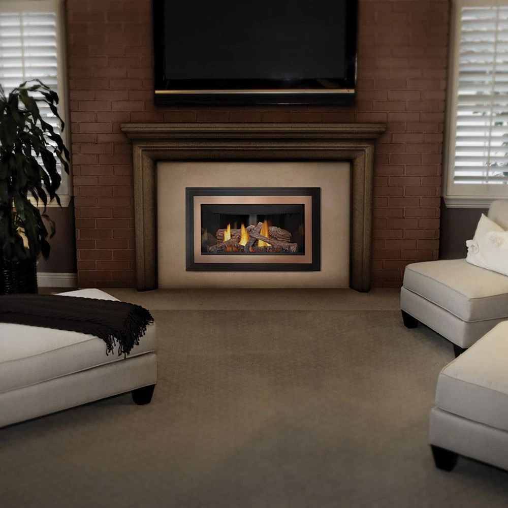 Napoleon GDIZC-NSB Inspiration ZC Series Millivolt Ignition Direct Vent Gas Fireplace Insert 4 Napoleon GDIZC-NSB Inspiration ZC Series Millivolt Ignition Direct Vent Gas Fireplace Insert - Image 2