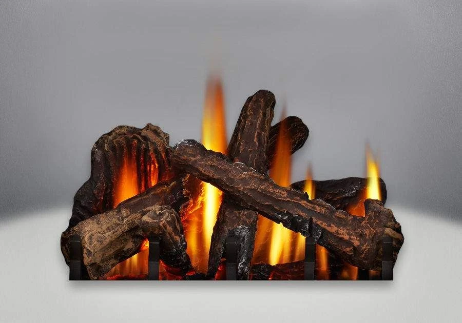 Napoleon GDS25NA-1 Bayfield Electronic Ignition Direct Vent Cast Iron Gas Stove 4 Napoleon GDS25NA-1 Bayfield Electronic Ignition Direct Vent Cast Iron Gas Stove - Image 2